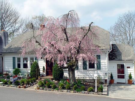 1933 Cottage photo