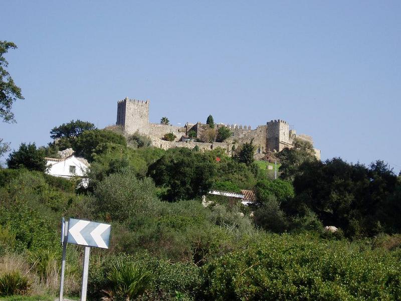 Castle of Castellar 