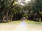 Oak Alley Plantation