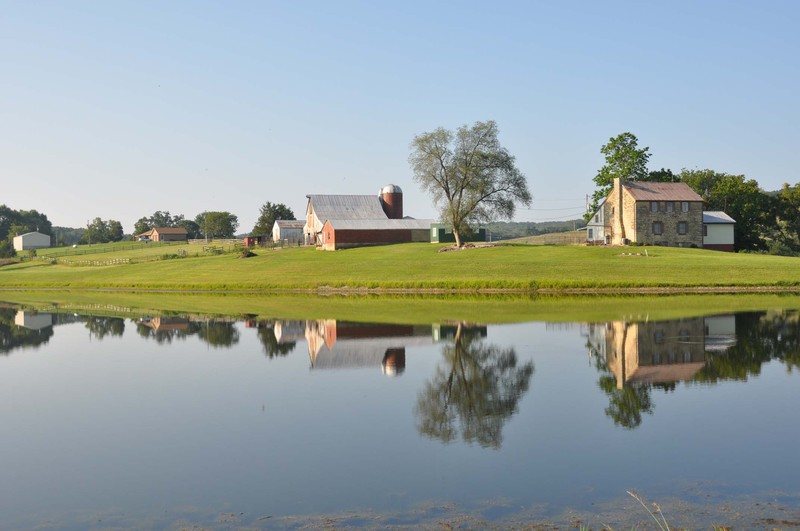 Stone Home with Barns overlooking 5 plus acre lake on 30 acre estate