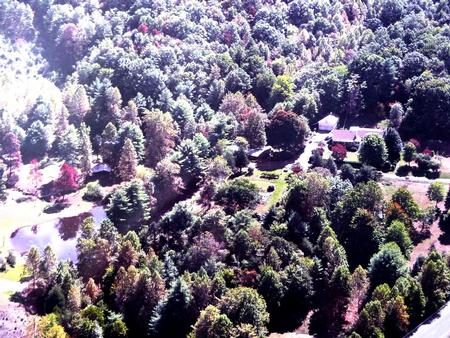 1946 Cottage+208 acres photo