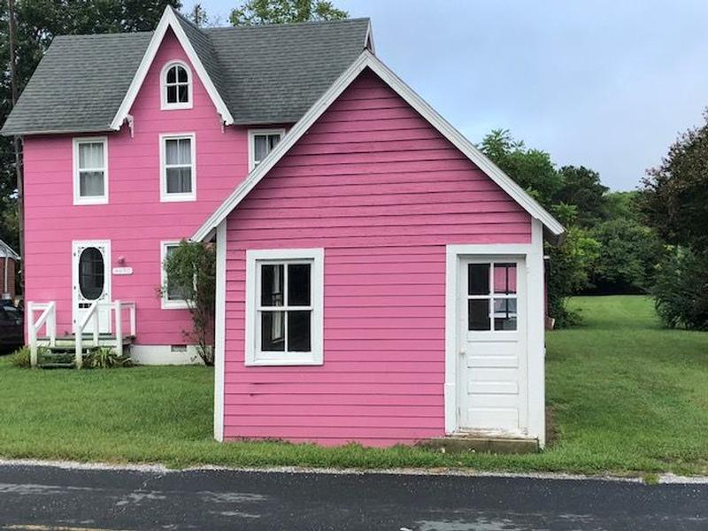 The Pink House of Tyaskin