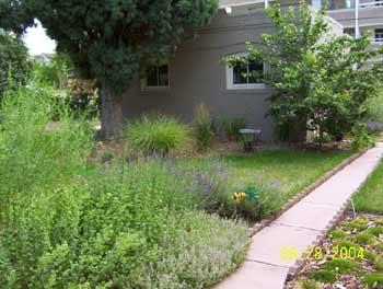 Yard
