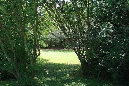 Scene From Back Yard to House