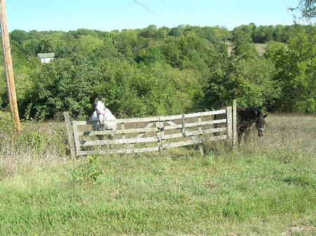 East Pasture.