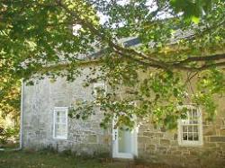 back of the house
