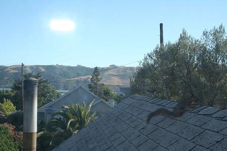 New Roof