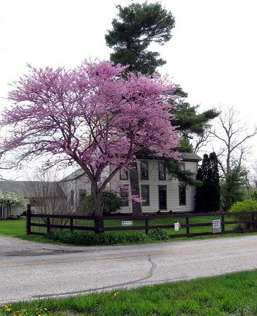 1840 Colonial Revival photo