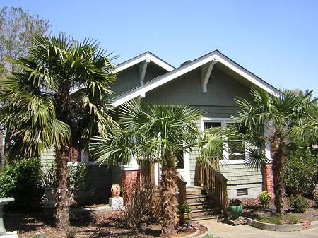 1908 Bungalow photo