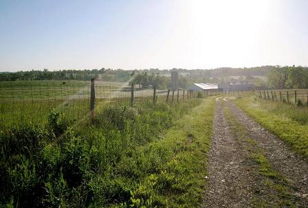 field and barns