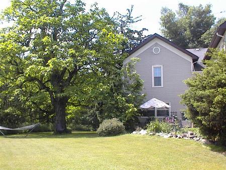 backyard area