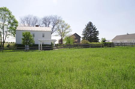 Country views