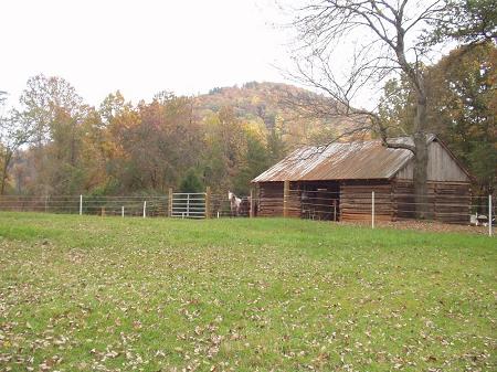 Two-Stall Log Barn 