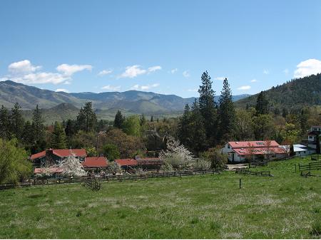 View of Country Willows