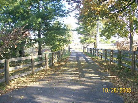 looking down the drive