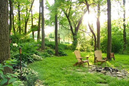 Shade Garden