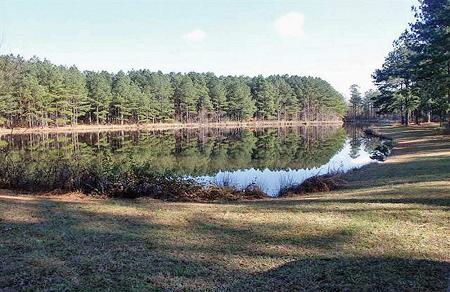 3 acre stocked pond