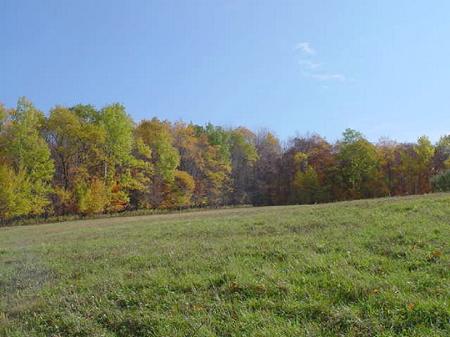 Open Farm Land