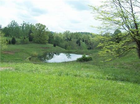 Large pond