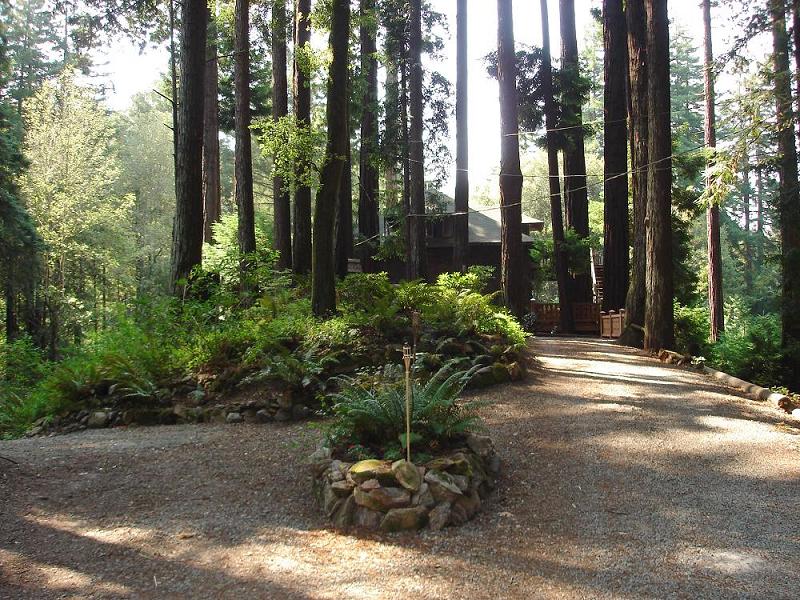 Enchanting Redwood Retreat