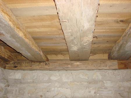 Old Log Joists