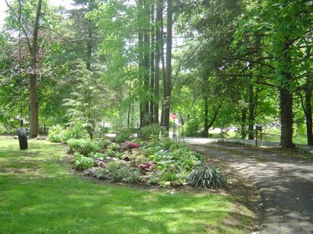 Large trees on 1.6 acres