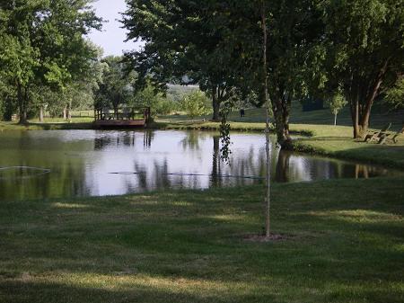 Pond