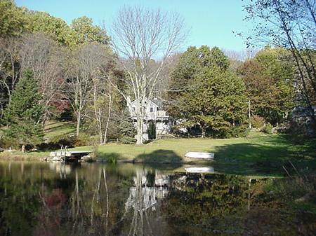 view across the pond