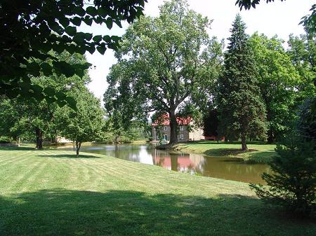 Front Yard