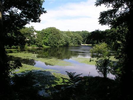 Jennings Pond