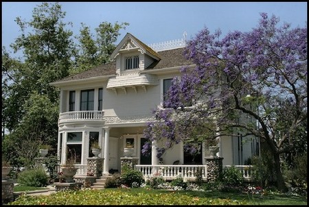 1890 Historic Home photo