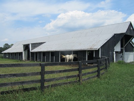 Horse barn & paddock