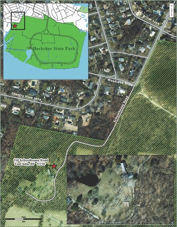 MAP-