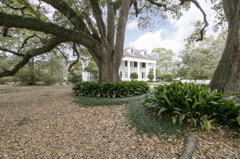 Front view with Registered Live Oak Trees