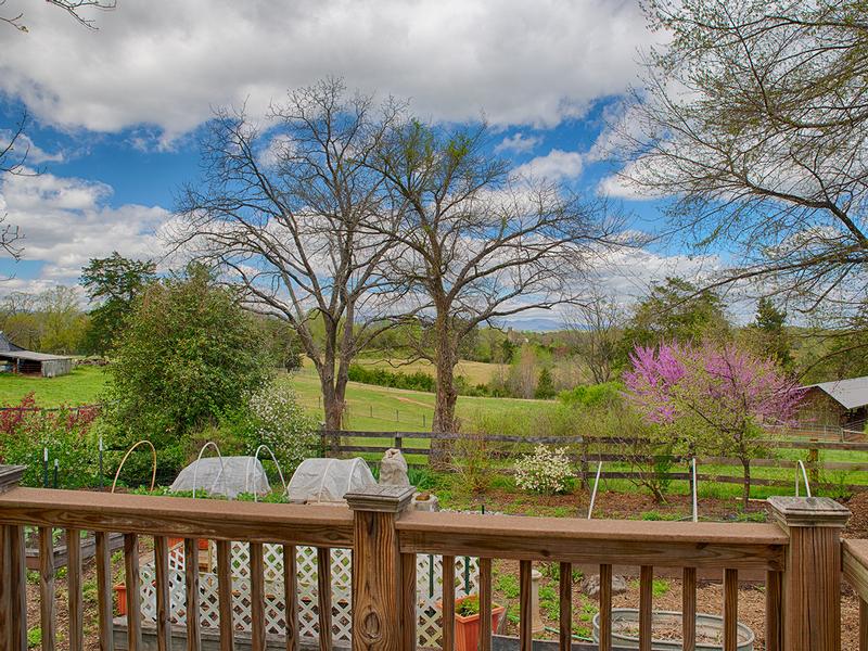 View from the Porch