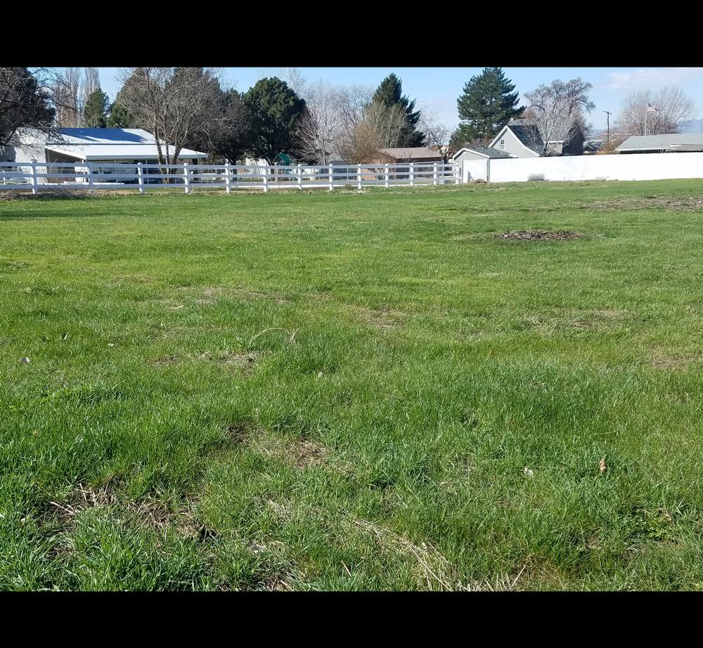 1886 Historic Home For Sale in Willard, Utah