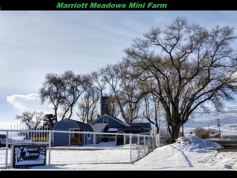 .6 Acre Marriott Homestead